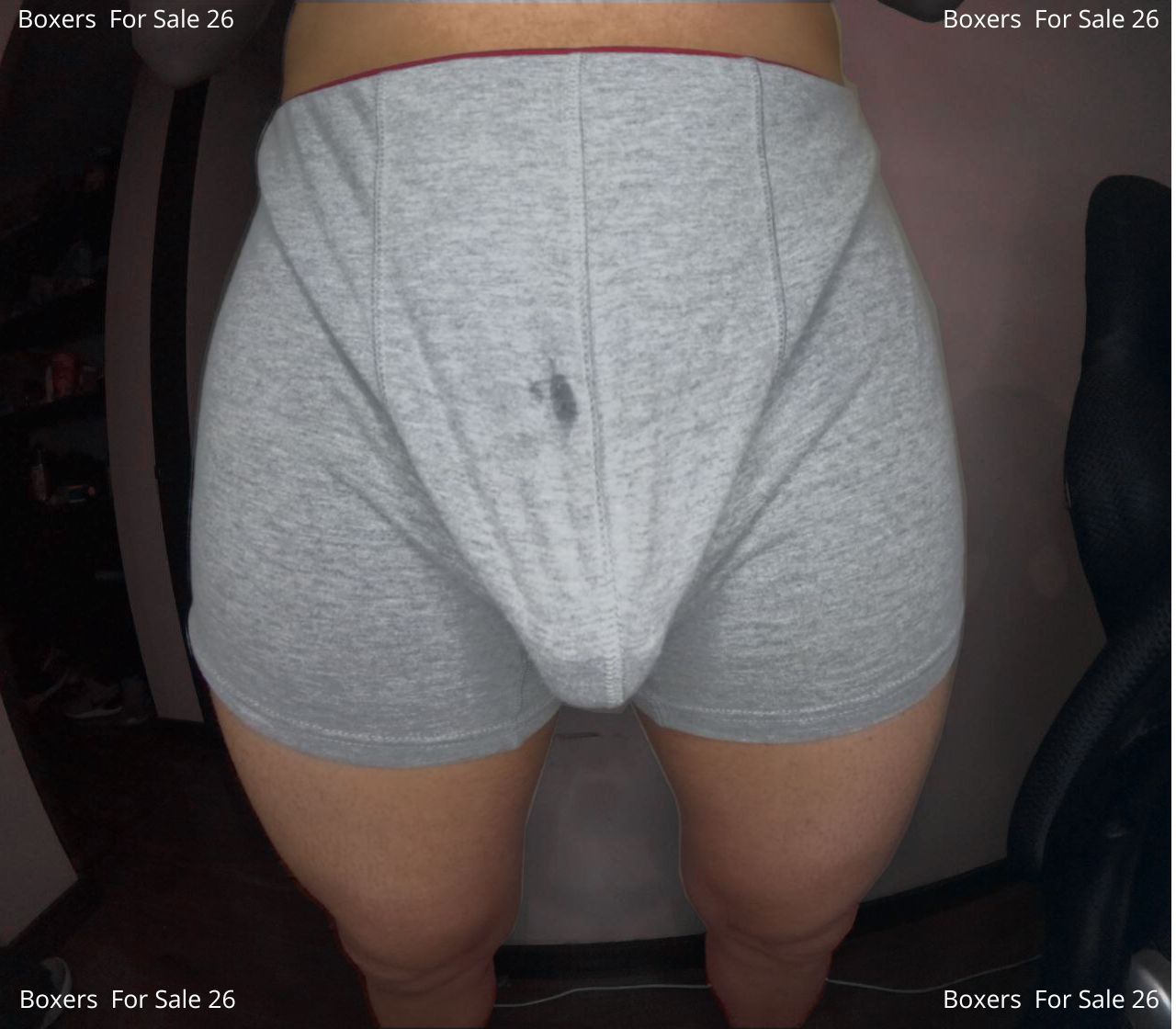 Premium Boxer